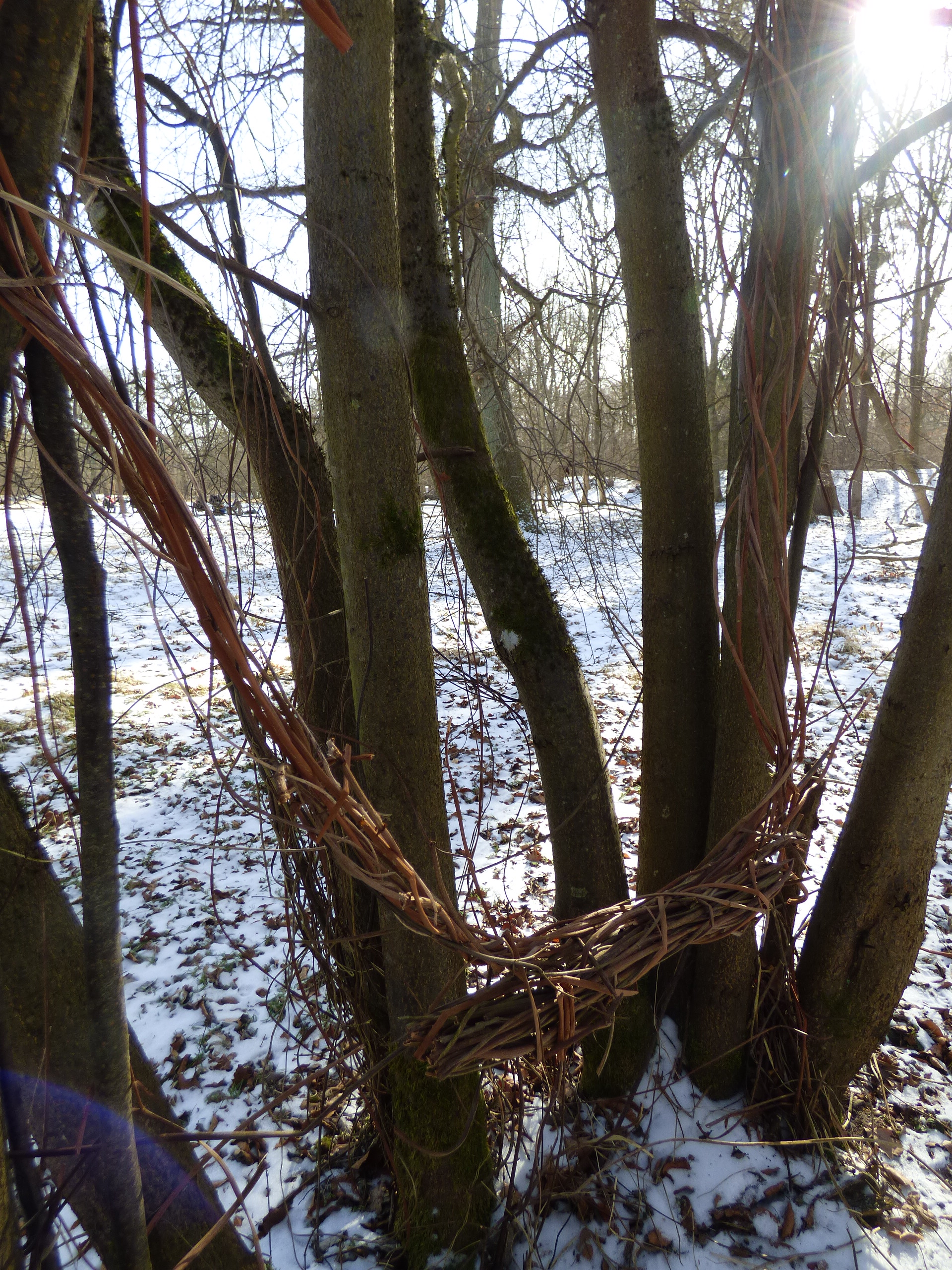Schaukel